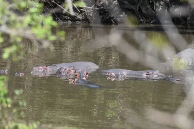 DSC_3505 (Large).JPG